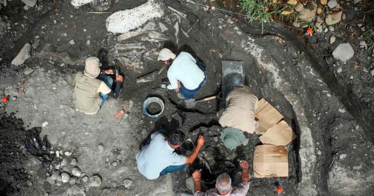 Hallan fósiles de un perezoso gigante de más de 10.000 años de antigüedad con su «armadura» intacta en Costa Rica