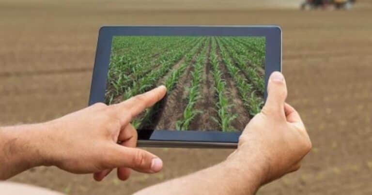 Del arado al algoritmo: cómo la IA puede salvar la agricultura de América Latina
