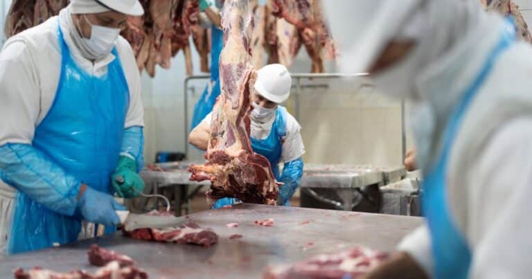La carne vacuna fue central en el acuerdo y la cadena elogió la gestión del gobierno nacional