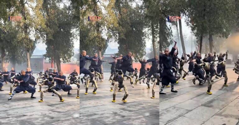 Robots humanoides practicaron Kung Fu junto a monjes Shaolin y dejaron impactantes imágenes