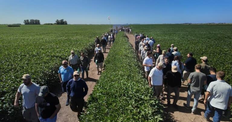 Genética y protección de la propiedad intelectual, las claves planteadas por un semillero para potenciar los rindes de la soja y acortar la brecha productiva