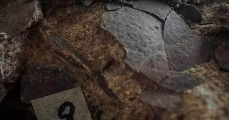 Encontraron 10 huevos de dinosaurio en un acantilado