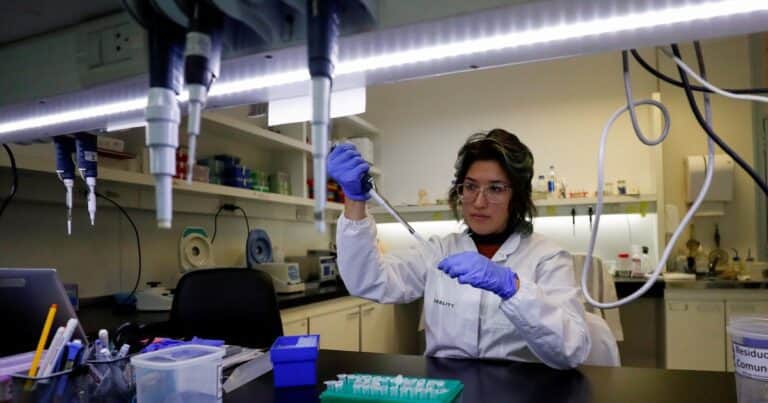 La triste caída de Bioceres, la firma de tecnología para el campo que voló como Icaro