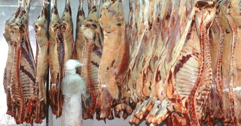 Los frigoríficos ven una gran oportunidad para consolidar la agenda sanitaria y de acceso a mercados