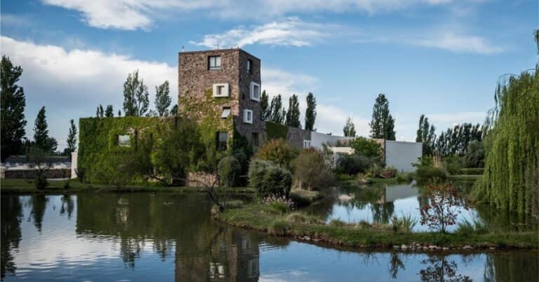 El flamante ‘matrimonio’ entre bodegas brasileñas y argentinas que puso la mira en el mercado Premium de Brasil