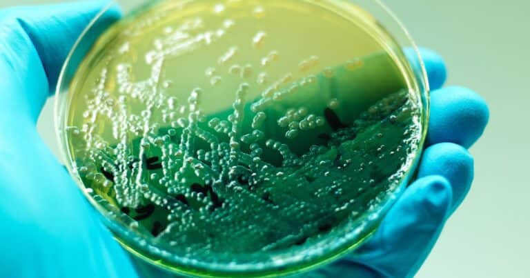 Hallan un misterioso ARN que no pertenece a virus ni bacterias, pero está dentro de nosotros