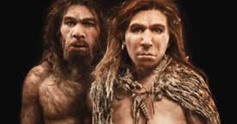 Aislamiento social: científicos descubren el motivo real de la extinción de los Neandertales