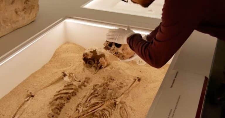 El hallazgo genético más antiguo de la humanidad estuvo oculto bajo tierra por 12.000 años