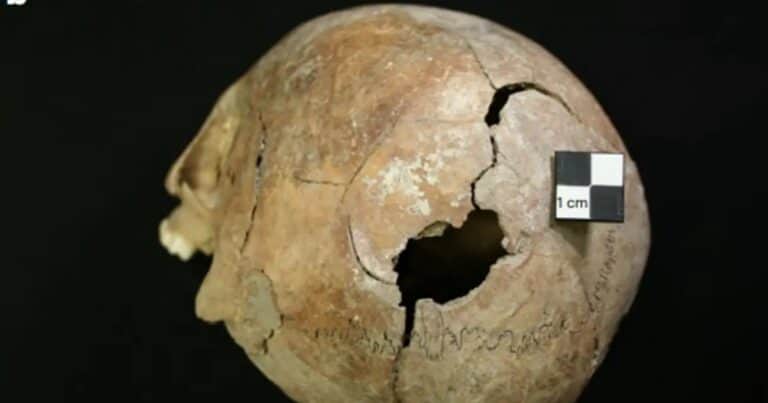 Hallaron en Serbia una fosa de 2.800 años de antigüedad que expone una violenta matanza de niños y mujeres