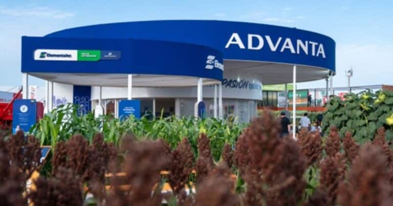 Semillas para tres cultivos estrellas: una propuesta integral para celebrar más de 30 años de trayectoria en la próxima Expoagro