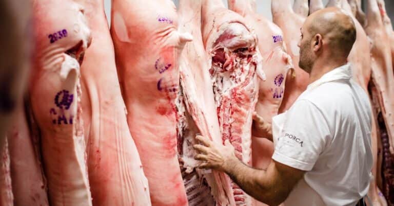 Los productores porcinos sacan «pechito» y destacan la competitividad de sus cortes