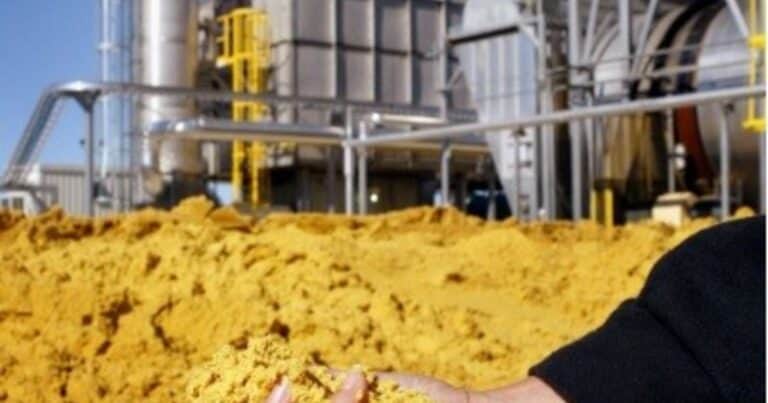 Sin bioeconomía no hay paraíso: cómo expandir la frontera productiva sin violar mandatos ambientales