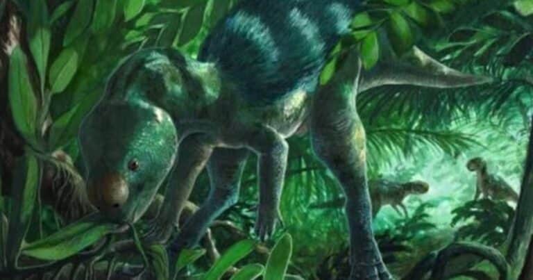 Hallaron los huesos del dinosaurio más pequeño del mundo