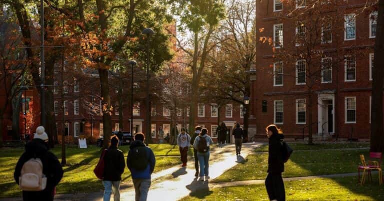 La trampa de la inteligencia artificial: por qué Harvard advierte que cuanto más se usa, más cansancio mental genera