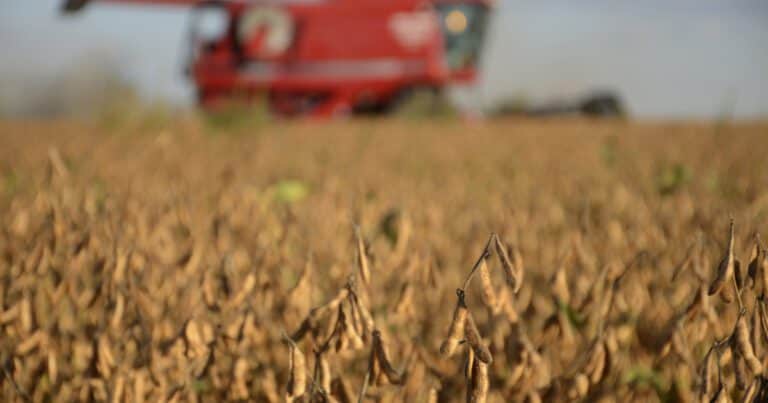 Brecha impositiva y pérdida de competitividad frente a Brasil y Uruguay: el agro argentino paga hasta 70% de su renta al Estado