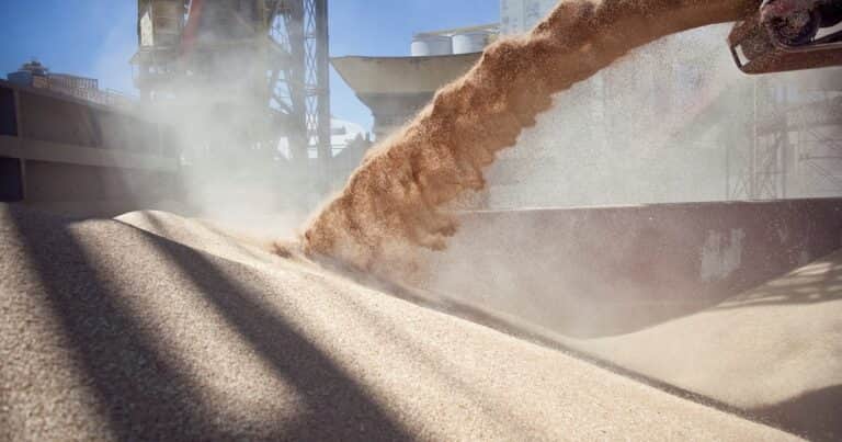 Fuerte salto en las exportaciones agroindustriales: en enero subieron 17,6% y superaron los US$ 4.000 millones