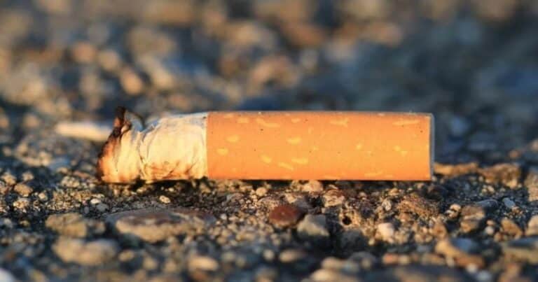 El ADN de un cigarrillo permitió resolver un crimen de hace 44 años