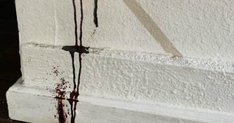 El techo de su casa chorreaba una sustancia negra y descubrió su terrible origen
