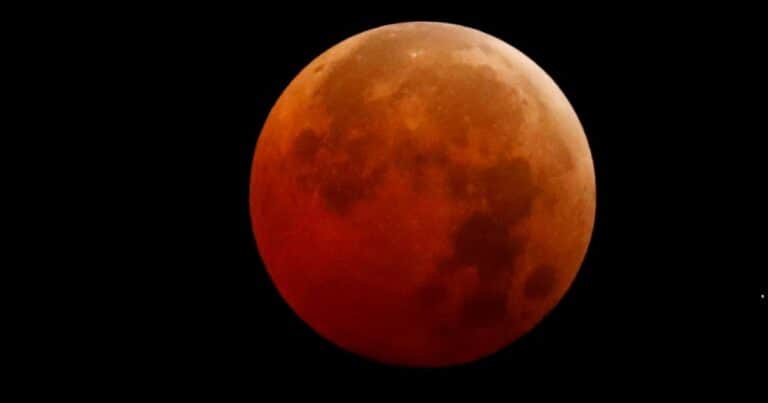 Eclipse lunar total, EN VIVO: seguí la «Luna de Sangre» este 3 de marzo de 2026, minuto a minuto