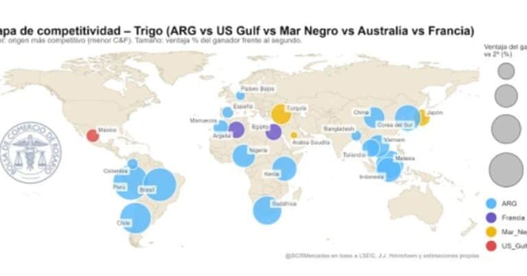 Trigo récord: Argentina ya exportó 9,4 millones de toneladas y consolida su competitividad global