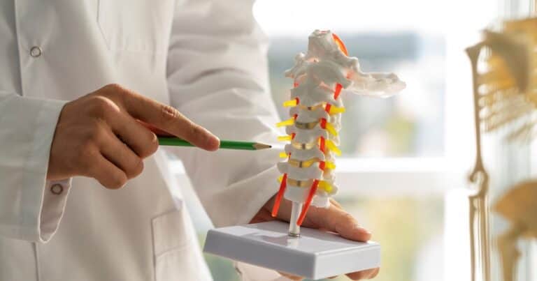Cómo las lesiones de la médula espinal afectan el equilibrio y la capacidad de caminar