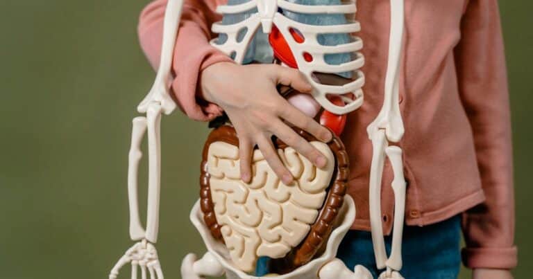 Mario Alonso Puig, cirujano: “El sistema digestivo es nuestro segundo cerebro por una sencilla razón”