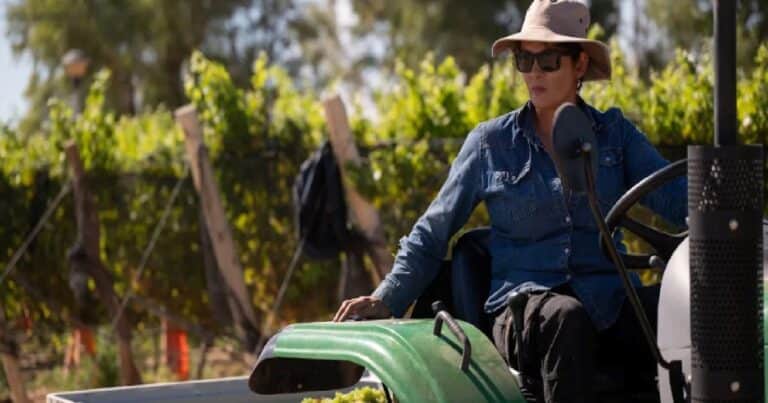 La nueva estrella del vino argentino que convive con Vaca Muerta