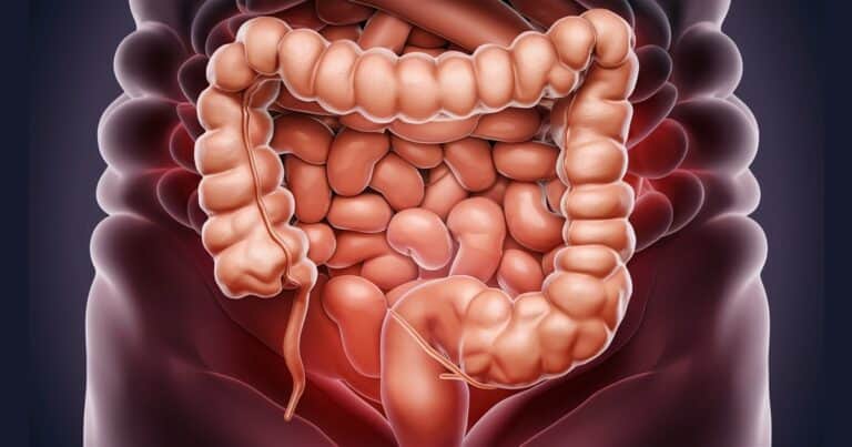 “La felicidad está en el intestino”: los misterios de nuestro segundo cerebro