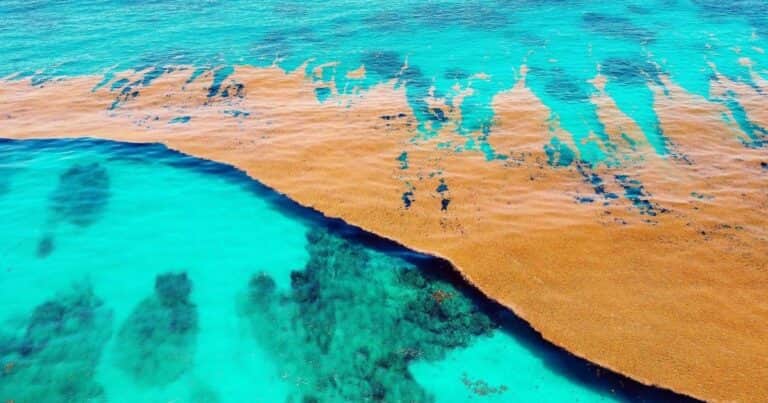 Existe un mar en la Tierra que no toca ninguna costa y tiene una explicación fascinante