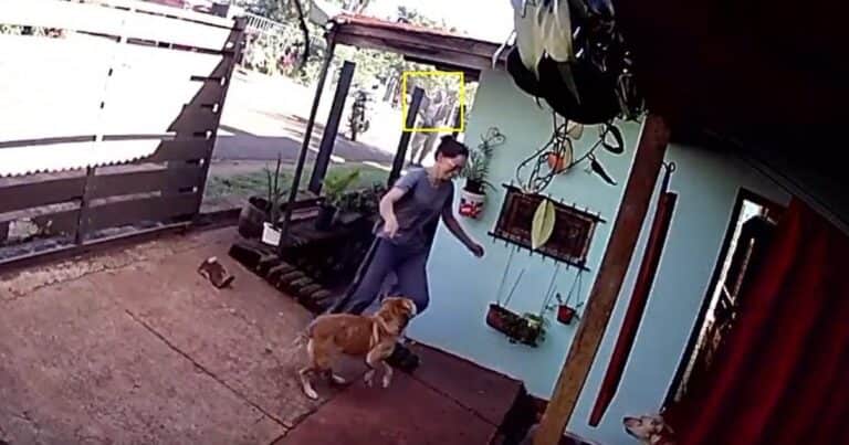 Video: por una deuda, un prestamista acribilló a balazos a un mecánico en Misiones