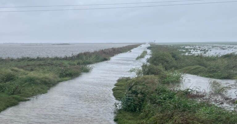 Las lluvias paralizaron la cosecha de en gran parte del país y ya comienzan a ser un serio problema para la soja