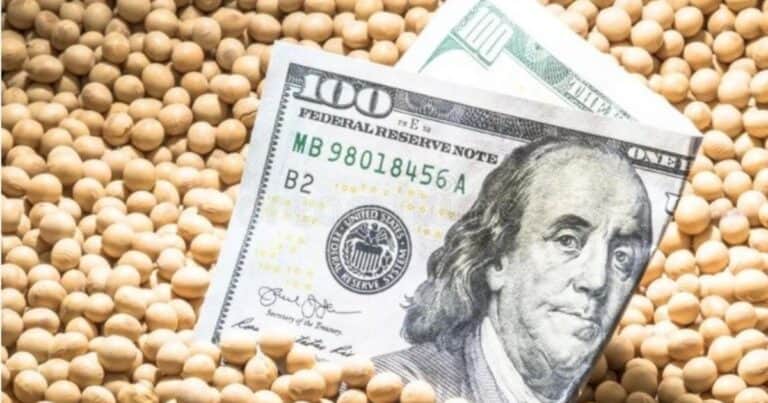 ¿Cuál es el peso del agro en las principales provincias exportadoras de Argentina?