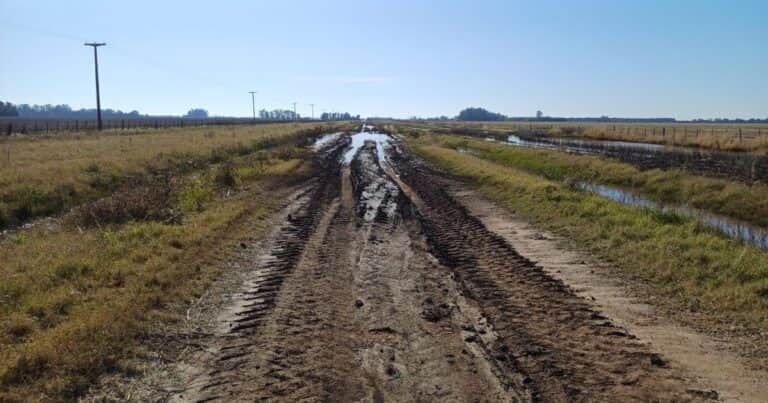 Otro fallo a favor de los productores: la Justicia obligó a un municipio bonaerense a mostrar sus números y cómo se gastó la recaudación de la tasa vial