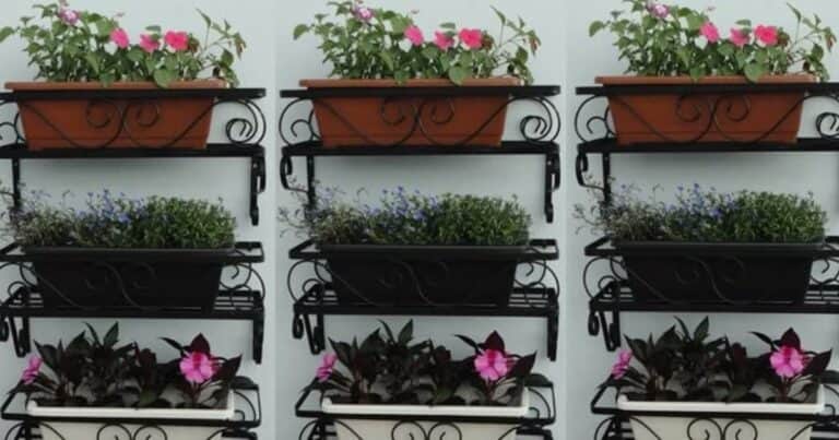 Cómo decorar el balcón con plantas sin perder espacio: la alternativa a las macetas de terracota
