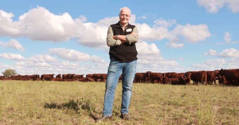 En una zona semiárida tiene el rodeo más grande del país de una raza emblemática y sigue perfeccionando la calidad de la carne