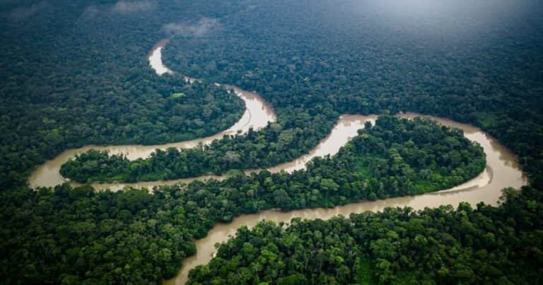 Documentan por primera vez 118 especies de peces en un río de la Amazonia: «Combinamos ciencia con saberes ancestrales»