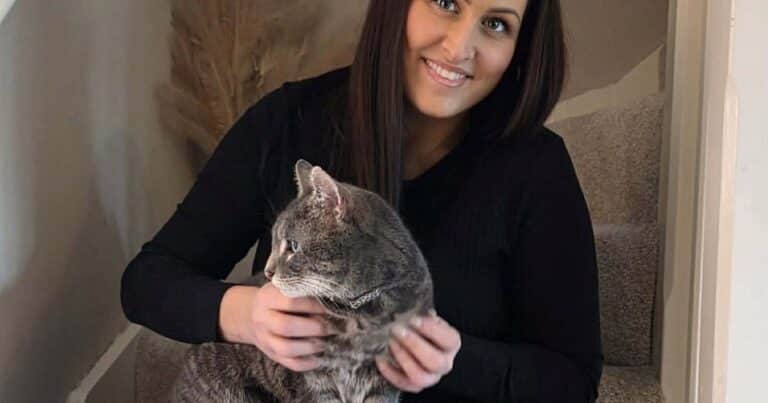 Perdió su gato y con el tiempo la esperanza de encontrarlo: cinco años después ocurrió «un milagro»