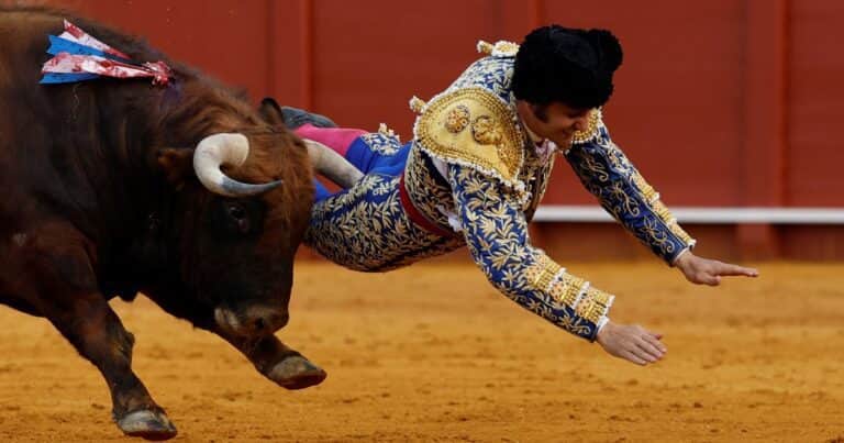 Un famoso torero sufrió una cornada durante una corrida en Sevilla y permanece en grave estado
