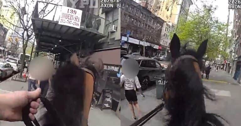 Estuvo 25 años presa, salió en libertad y la volvieron a atrapar: el video de la persecución a caballo