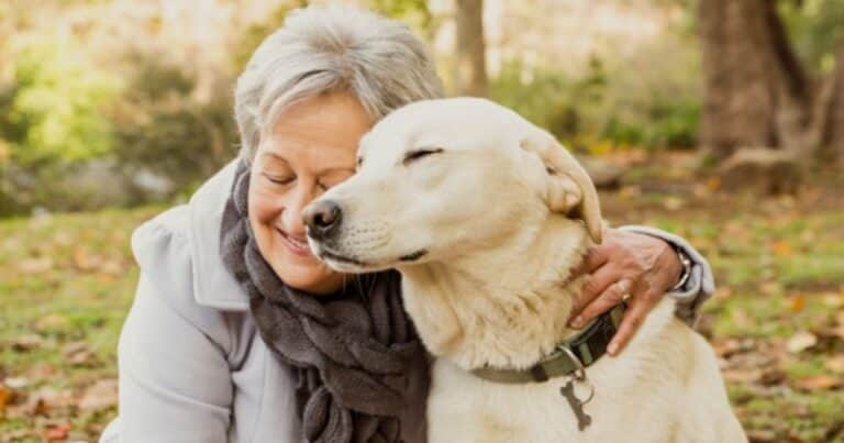 Crearán un pueblo para perros de personas hospitalizadas