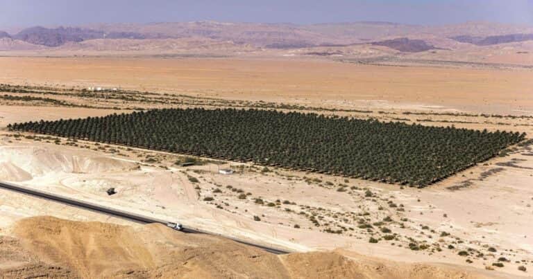Golfo Pérsico: cómo pasar de la amenaza a la cooperación agrícola para la seguridad alimentaria