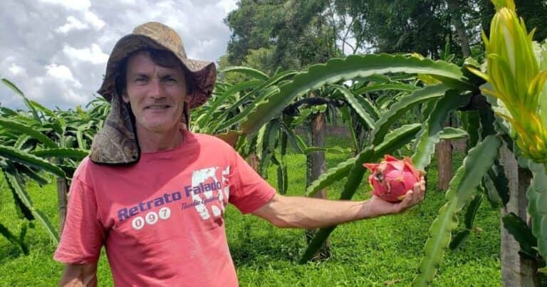 Era carpintero y abandonó su trabajo para plantar 450 árboles de una fruta exótica: «Gracias a Dios resultó bien»