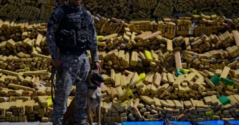 Un perro policía encontró un cargamento de marihuana de 48 toneladas