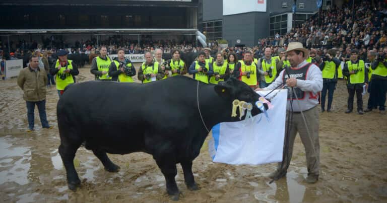 Una carta de cabañeros pidiendo una auditoría arroja más leña al fuego en la interna de la Rural
