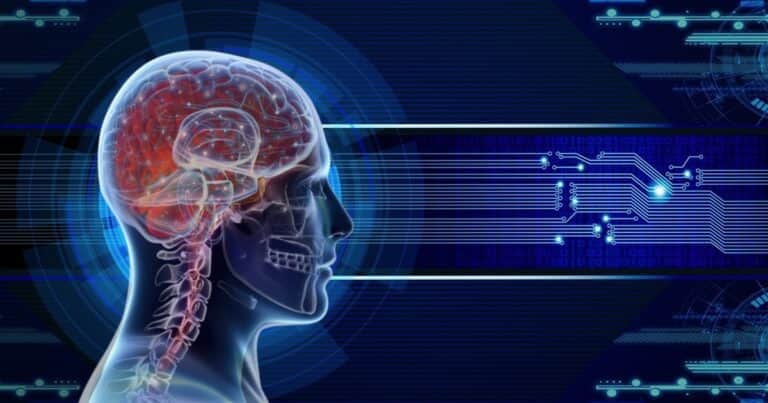 El estudio que revela cómo el entorno puede acelerar o frenar el envejecimiento del cerebro humano