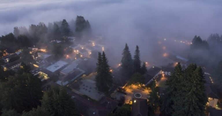 Qué pasaría si la niebla desaparece y por qué es más importante de lo que parece
