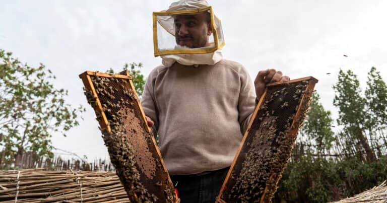 El pueblo que desde hace 80 años tiene pleno empleo gracias a la miel y las abejas