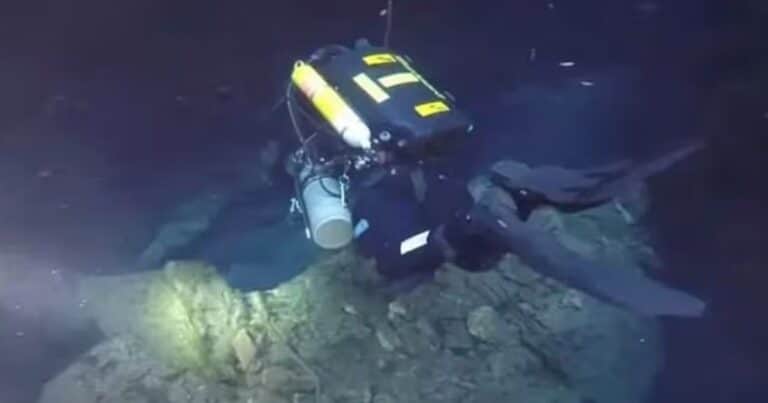 La muerte de Dave Shaw, el buceador que se ahogó a 274 metros de profundidad durante una heroica misión en Sudáfrica