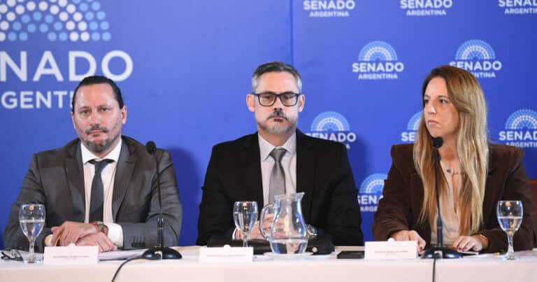 Otro round en el Senado por los pliegos judiciales: ahora el Gobierno quiere bajar a los jueces ligados a Tapia y Toviggino