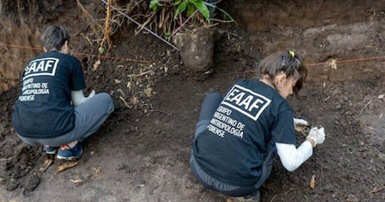 Misterio en Coghlan: un georradar detectó algo más en el jardín de Cristian Graf y recomiendan volver a excavar